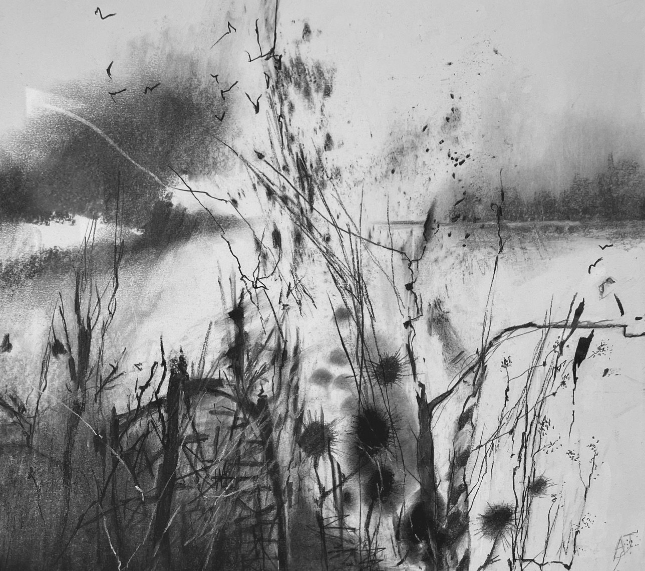 The Far Shore