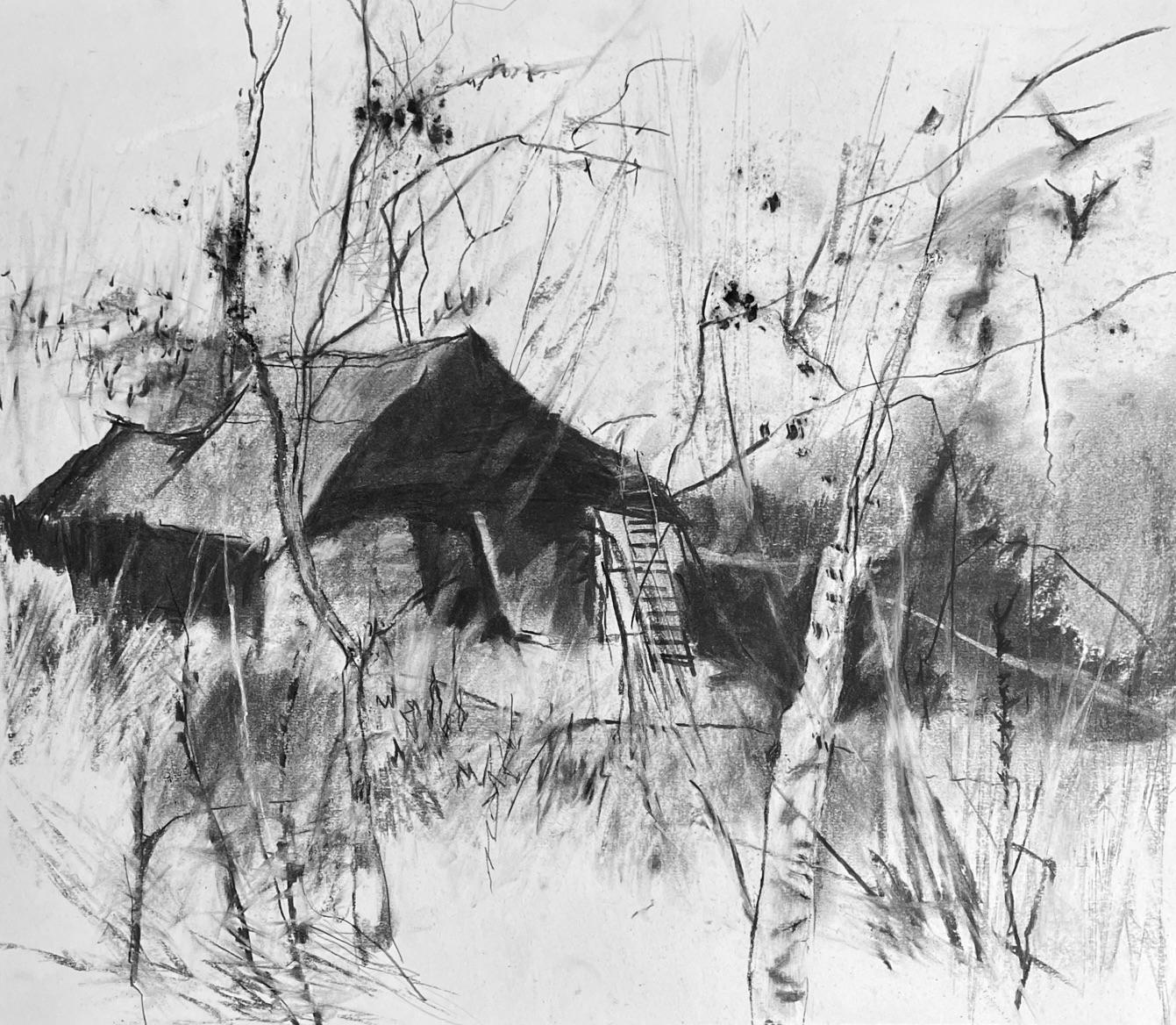 The Shed